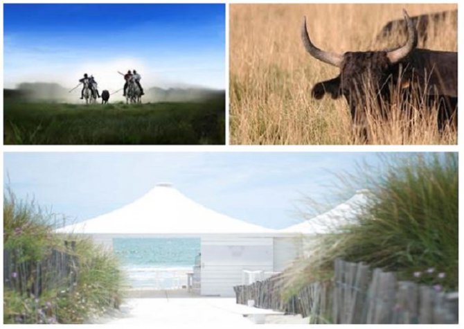 Excursion in Camargue and gala dinner on a private beach! June 2016 - 100 persons