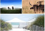Excursion in Camargue and gala dinner on a private beach! June 2016 - 100 persons